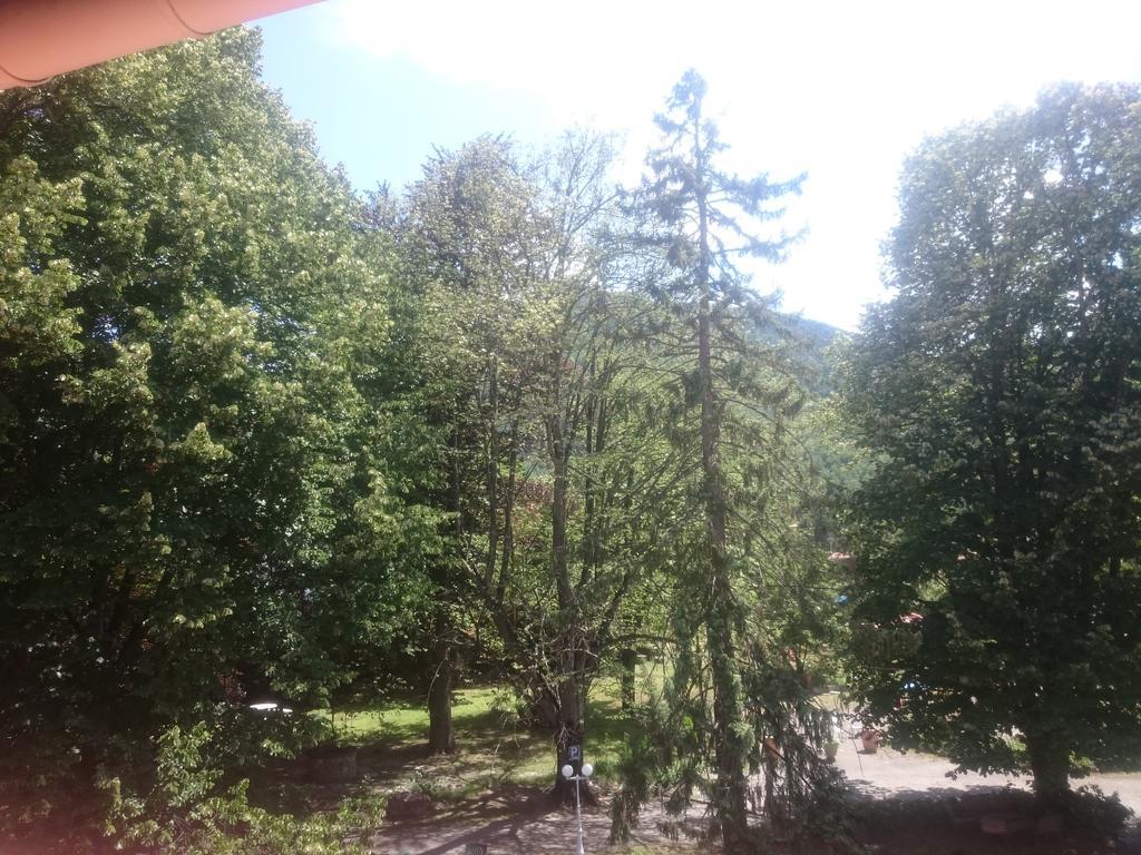 Hotel Le Mas Fleuri Vernet-les-Bains Eksteriør bilde